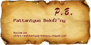 Pattantyus Bekény névjegykártya